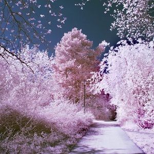 Meet your Posher, Lizeth